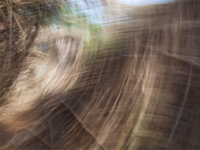 Several years ago, a photography teacher advised me to cherish mistakes.  At the time, I thought, `Yeah, whatever.`