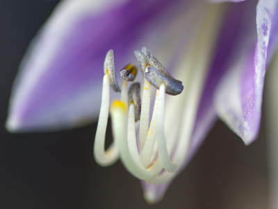 Another small secret.