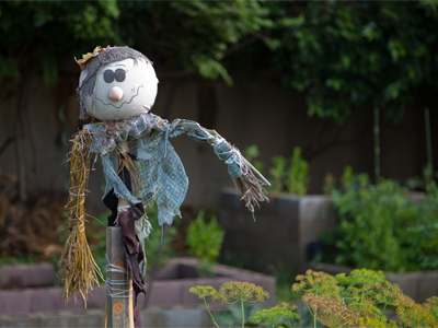 Urban scarecrow.