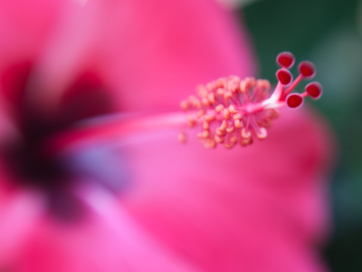 Seen enough flowers lately?  Yeah, me too.