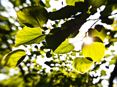 I get out the blurry lens when I`m short on inspiration.