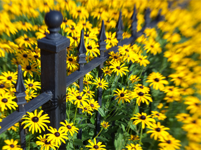 I waited creepily on the corner until the homeowner drove away, and then I moved in for the shot.  Their dog barked, but I wasn`t worried:  it was only a poodle.
