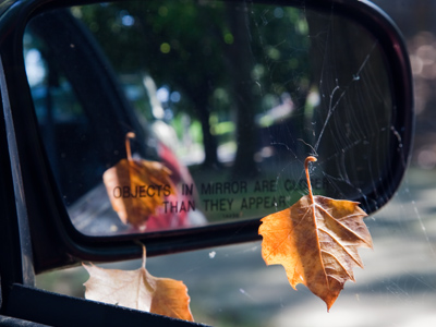 Midsummer reflections.