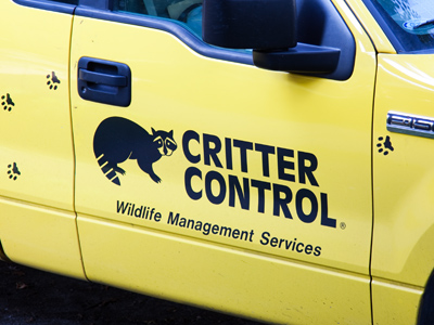 Footsteps in the attic.