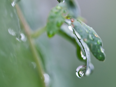After a while, I was also covered with water droplets.