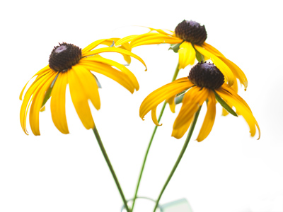 For Ashley, who is moving away {SNIF!}.