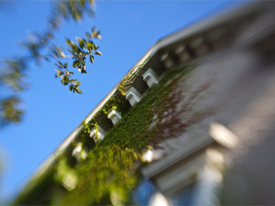 A passerby looked up at the building I was photographing, probably wondering:  `Where`s the aesthetic value?`