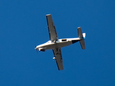 As it kept circling, I hoped somebody would jump out.