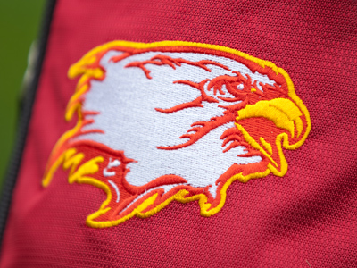 Can you identify this school mascot emblem?