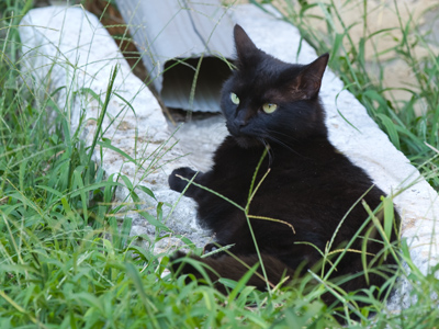 Waiting for SOMETHING to come down the drainpipe.