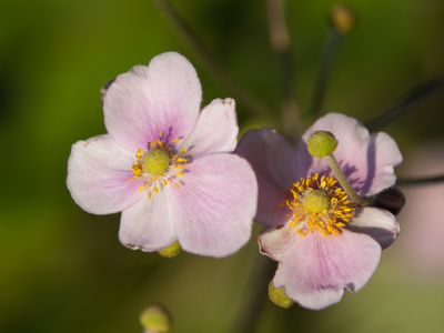 Treasure in the alleyway.