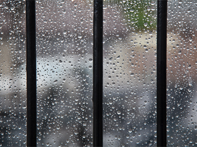 In case you were wondering, I usually display my five daily photos in the same sequence that I took the pictures.