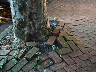 In the short term, man bends nature to his will.  But in the long term, nature always triumphs.