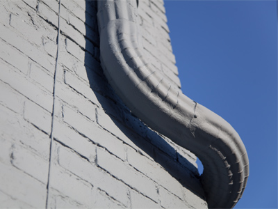 The trunk of the elusive blue-gray elephant.