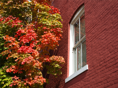 Just one window and one color this time.