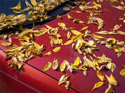 When a fella walks to work, a fella`s car is neglected.