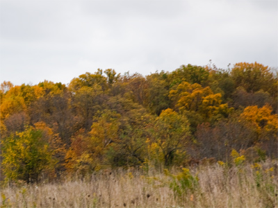 A mini-panorama, left.