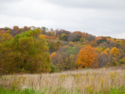 A mini-panorama, right.