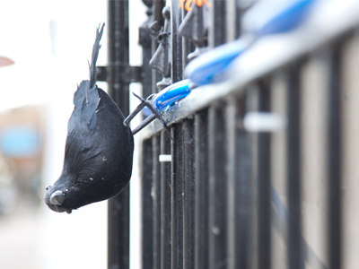 Hanging around Fifth Street.