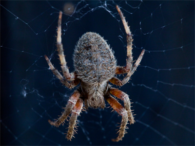 Wait!  Something just moved next to your hand.