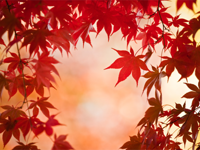 This one almost made me late for work, but it was worth it.