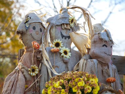 I`ve been doing a lot of family portraits lately.