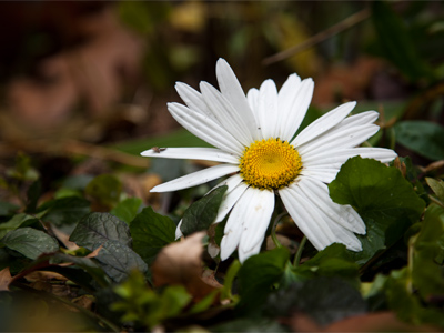 Go down bravely and without regret.  Others will follow you.