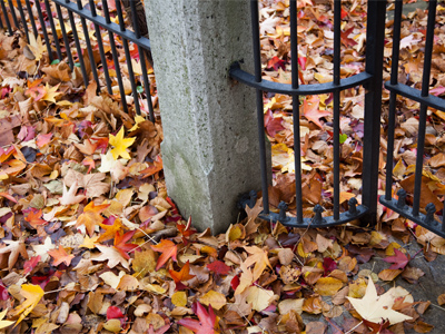 In the city of Dayton, you can rake your leaves to the curb . . . and they`ll still be there in the spring.