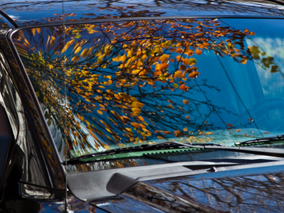 Don`t you hate getting leaves all over the windshield?