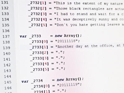 Next I type a brilliant caption into a complicated Javascript routine which I wrote years ago when I was a lot smarter.  Notice that this caption and photo are for Day 2,733.