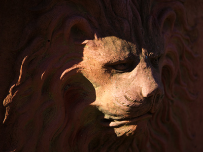 It`s not yet winter, but I can see it from here.