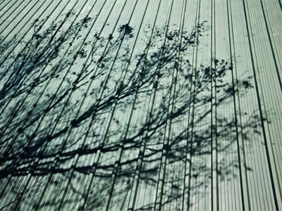 Today I discovered that I have a new relative.