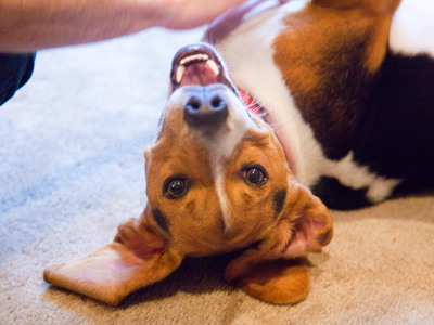 Round and round she goes.