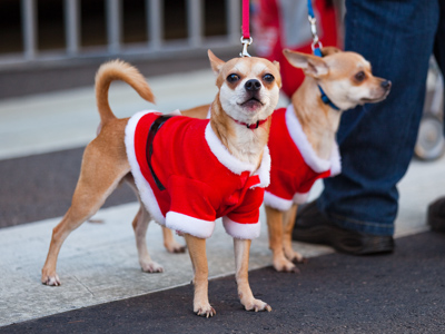 Modern memory making.