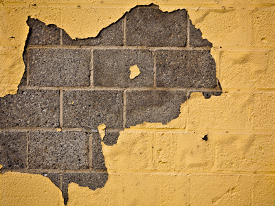 I`ve probably said this in prior years, but I really doubt my ability to take pictures every day during the coming winter.