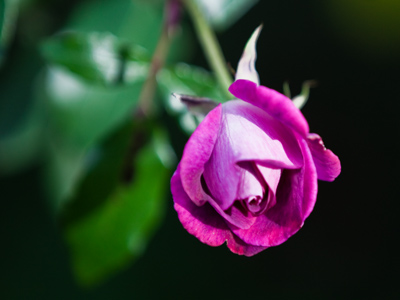 Somewhere, there`s a guy with one hand in his pocket.