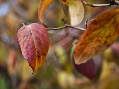 Today was so warm, I felt guilty.  It just didn`t seem right.