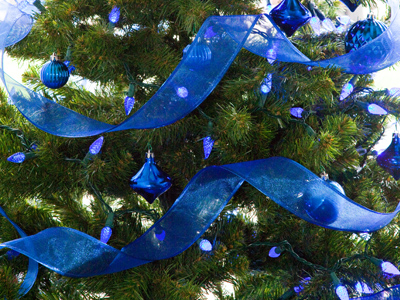 It seemed like a simple project:  take a photograph of one human being and two cats in front of this Christmas tree.