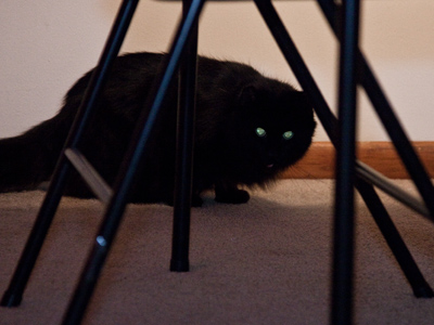 They made it clear they had no desire to participate.