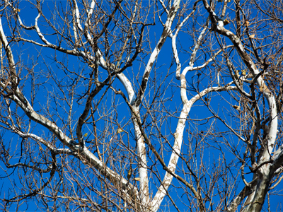 Look all you want for deeper meaning.  There is none.