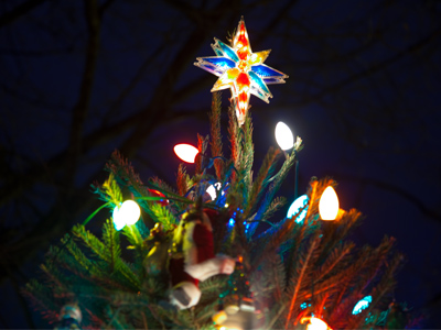 We set about choosing a tree.  It should be twice as tall as a boy, so a boy can`t steal the star.  TRUMAN CAPOTE