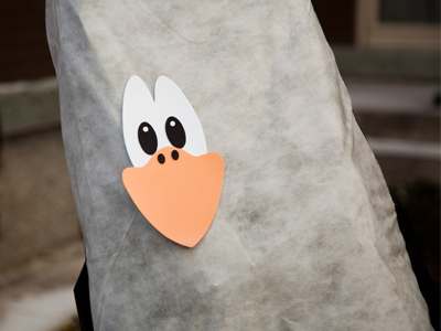 Today`s weather was perfect -- if you`re a penguin.