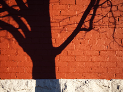 You don`t really KNOW there`s a tree nearby.