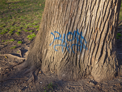 Authorities are seeking a squirrel with a spray can.