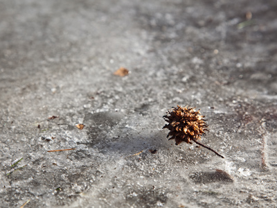Bright sunshine all day long had no effect on the ice.