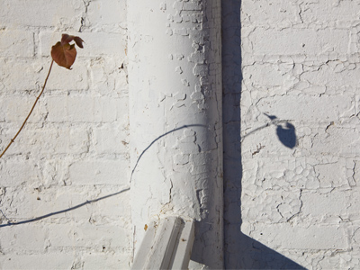 Life goes on . . . barely.