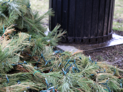 I probably would`ve removed the electric lights from the Christmas tree before throwing it away, but that`s just me.