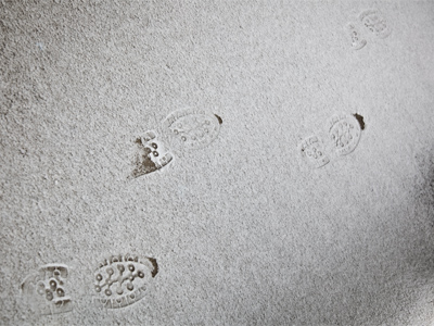 Where am I going?  I have no clue.