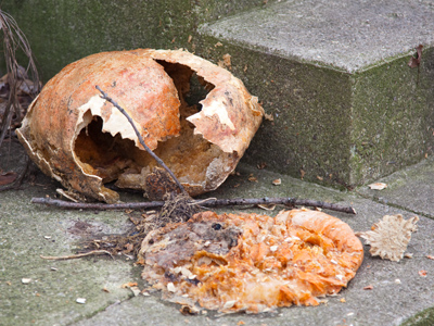 I wonder if there`s also a dried up Christmas tree inside.