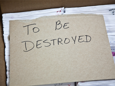 Like memento mori found in some Renaissance painting, my photos are frequently filled with reminders of mortality.